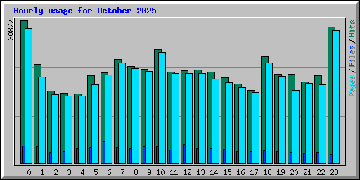Hourly usage for October 2025