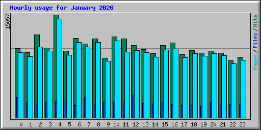 Hourly usage for January 2026